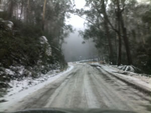 The Road to Mt Stirling